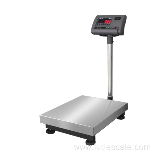 300kg Digital Bench Scale